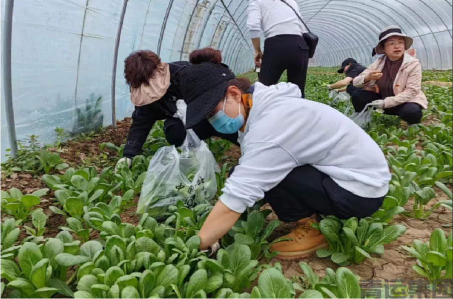 迅达冷链党支部组织发展支部主题党日活动